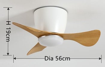 Ceiling Fan with Lights