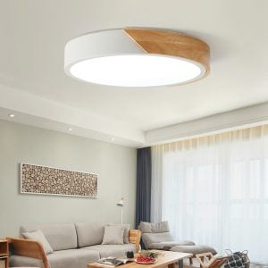 ARTRA Scandinavian LED Ceiling Light